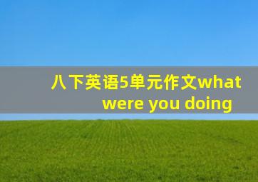 八下英语5单元作文what were you doing